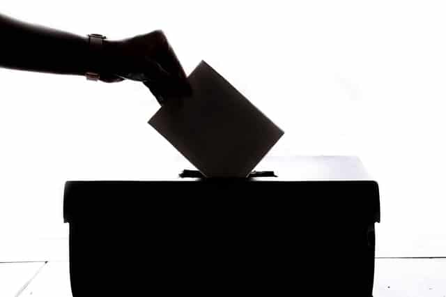Who Did You Vote For