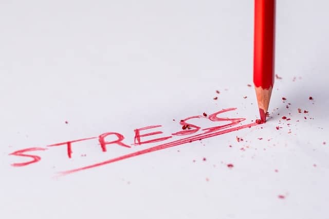 Stress During ERP Implementation