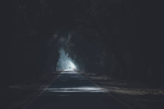 Hoaxes Lead to ERP Failure