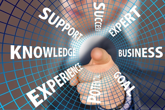 ERP Consultant is Like a Utility Infielder