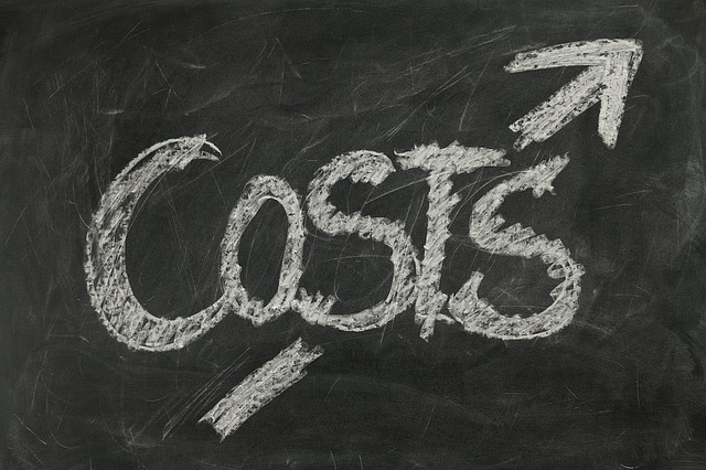 ERP Implementation Cost