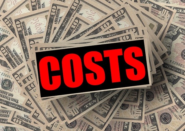ERP Software Licenses Cost