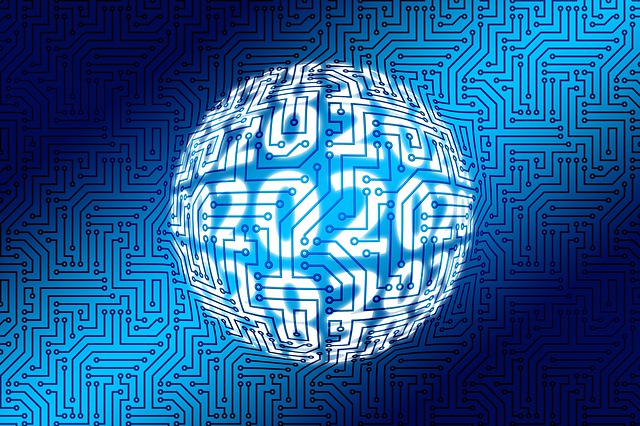 Top HCM Systems for 2020