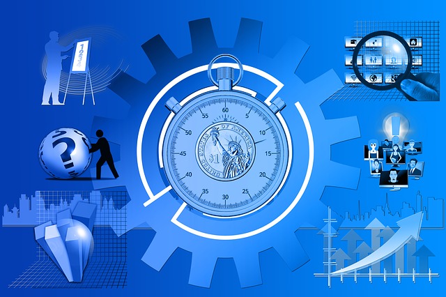 Life of an Independent ERP Consultant