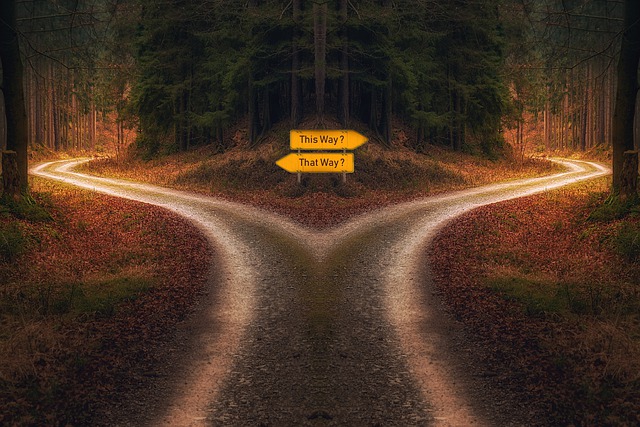 Digital Transformation Strategy Decisions
