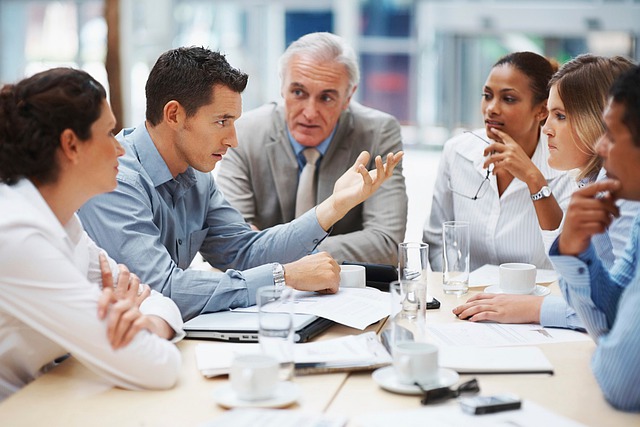Software Vendors and Software Integrators