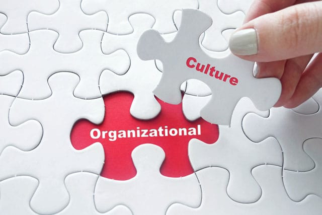 Cultural Change