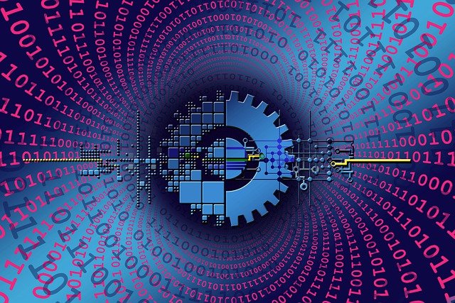 Elevate Your Digital Transformation