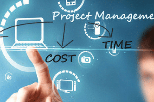 Controlling ERP Project Costs