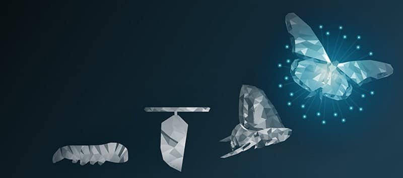 Introduction to Business Transformation