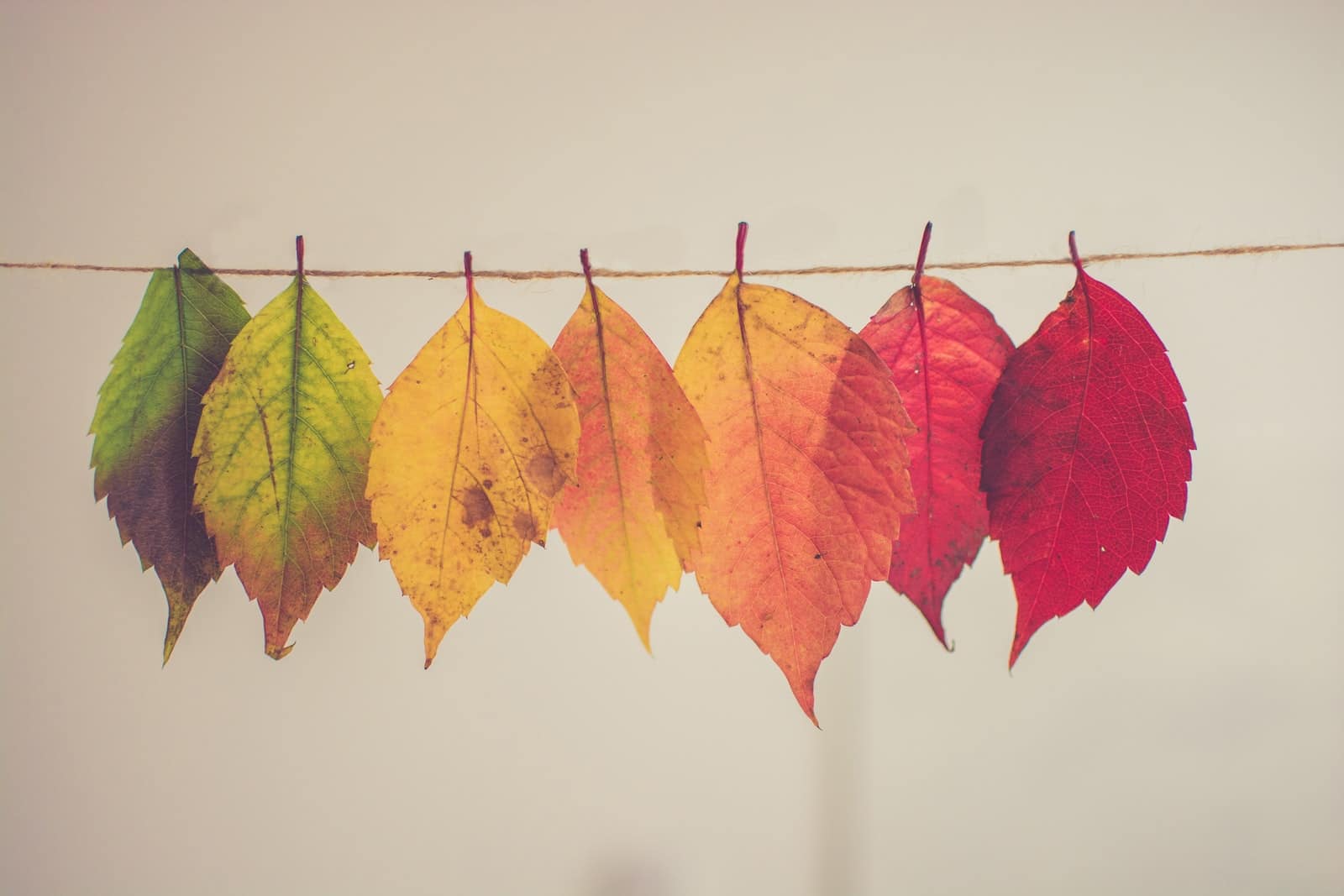 change management plan