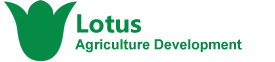 Lotus Agriculture Egypt .png