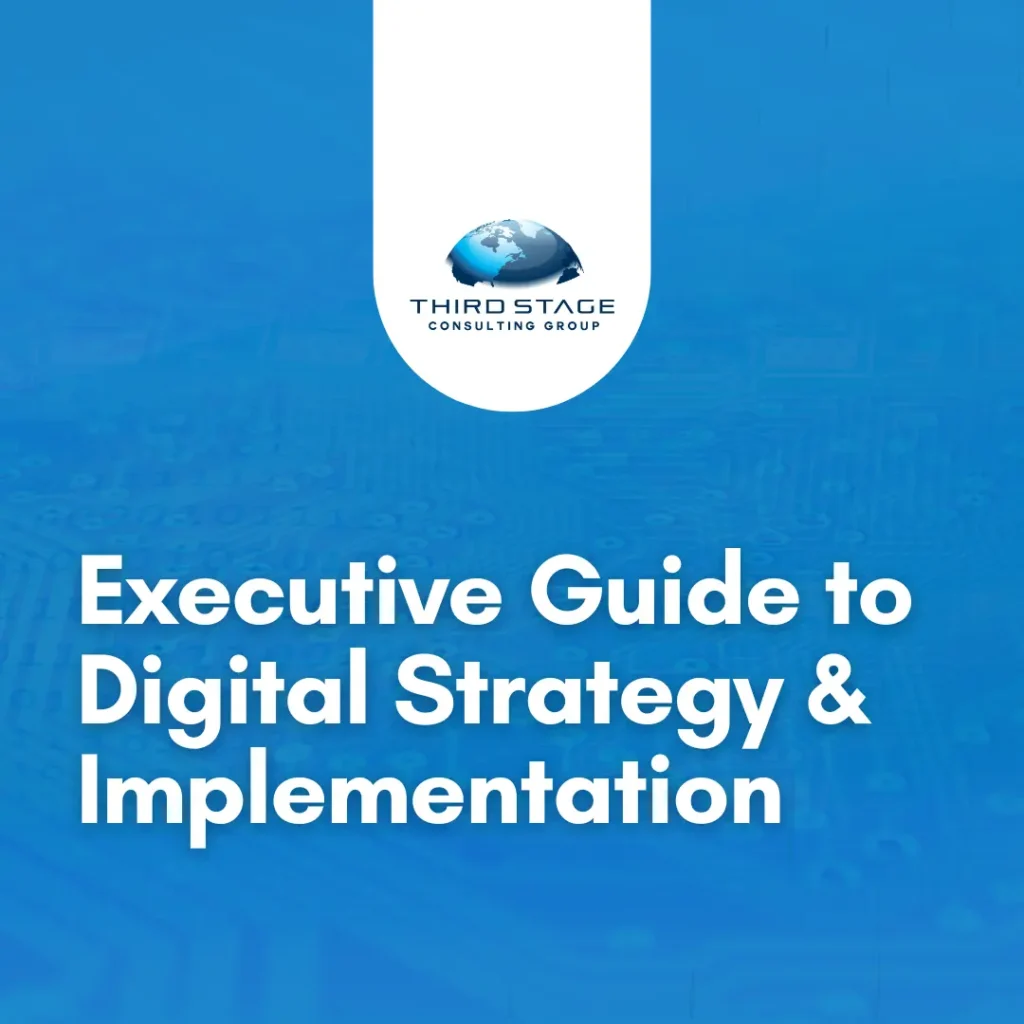 Executive's Guide to Digital Transformation 2 Executive Guide to Strategy Implementation